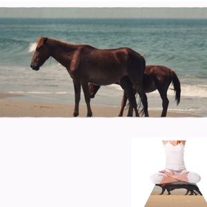 Kess inHouse Yoga Exercise Mat beach Horses